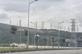 Công ty AIT bị phạt vì phá 2,61ha rừng tự nhiên 