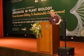 Các nhà nghiên cứu hàng đầu thế giới bàn việc chỉnh sửa gene cây trồng