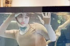 Hot girl TikTok chui vào bể cá để nhận 5 triệu đồng