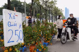 Dạo qua thị trường chiều 28 Tết Nhâm Dần, xả hàng bất chấp
