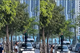Đến hẹn lại lên bí kíp hái trộm xoài được netizen truyền tay nhau