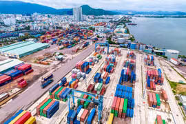 Cảng Quy Nhơn báo lãi 2022 lao dốc sau 3,5 năm về lại Vinalines, giá trị lợi ích của Hợp Thành chưa xác định được