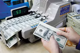 VNDirect: Cẩn trọng với biến động tỷ giá