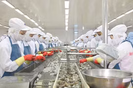 Quý 2 có lãi trở lại nhưng Minh Phú vẫn chưa thoát lỗ 6 tháng