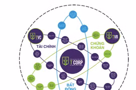 Cổ đông Trí Việt chất vấn vụ lãnh đạo bị bắt và danh mục chủ yếu HPG