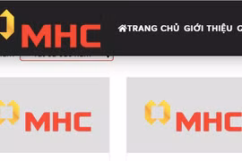 Lãi lớn từ đầu tư chứng khoán, cổ phiếu MHC vẫn liên tục 'bốc đầu'