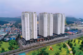 Gallery - e-MAGAZINE "CHÀO XUÂN NHÂM DẦN 2022" - image 4