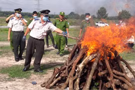 Tiêu hủy ma túy "khủng" trong chuyên án lớn nhất Bình Dương