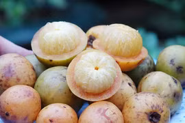 "Măng cụt rừng" - trái nhà quê được giới trẻ thành phố lùng sục mua