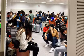 Du học sinh Việt tại Hàn gặp thế khó, ở lại sợ dịch, về sợ nợ nần