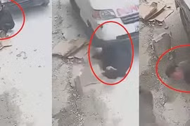 Video: Người đàn ông lồm cồm bò dậy sau khi bị xe tải cán qua