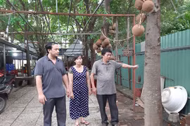 Vụ vợ bị đơn định tự tử: 2 cấp tòa xử khác biệt