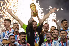 Gallery - WORLD CUP 2022 - image 1