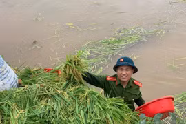 Gallery - Hà Nội Ngập Nặng