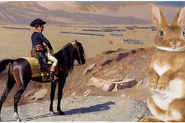 Cuộc săn thỏ khiến hoàng đế Napoleon 'choáng váng'