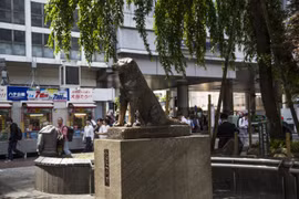 Gallery - Câu Chuyện Cuộc Sống - image 8
