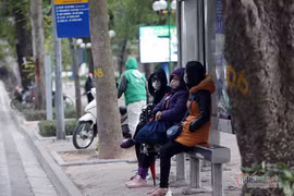 Gallery - GIÁ RÉT Ở MIỀN BẮC - image 2