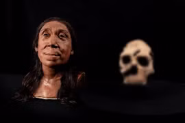 Phục dựng gương mặt phụ nữ Neanderthal, bất ngờ dung mạo 