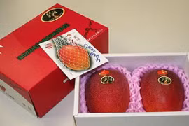 "Trứng mặt trời" đỏ rực, mua 2 quả biếu sếp hết nhẵn tháng lương