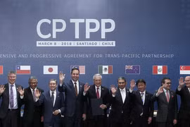 Thách thức lớn nhất của doanh nghiệp Việt khi ra “biển lớn” CPTPP