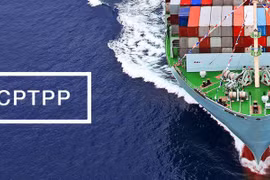 Ngành kinh tế nào được hưởng lợi nhất khi Việt Nam gia nhập CPTPP?