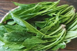 Lưu ý loại rau chứa purin, không tốt cho thận