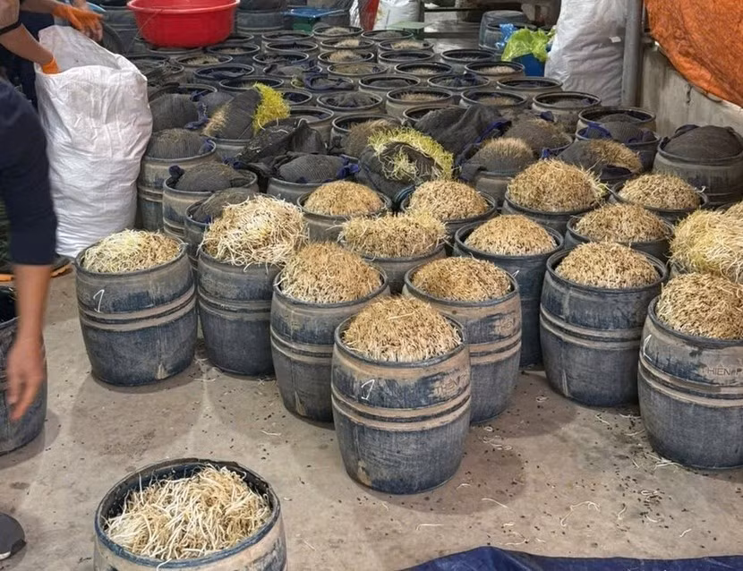 Vật chứng trong vụ án.