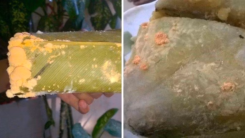 Bánh chưng bị mốc lá, mốc một góc – Ảnh minh họa/Nguồn Bách hóa Xanh