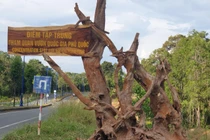 Vườn Quốc gia Phú Quốc