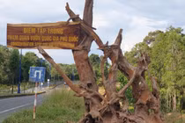 Vườn Quốc gia Phú Quốc