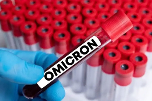 Omicron có hơn 500 biến thể phụ nhưng không đáng lo ngại Omicron co hon 500 bien the phu nhung khong dang lo ngai