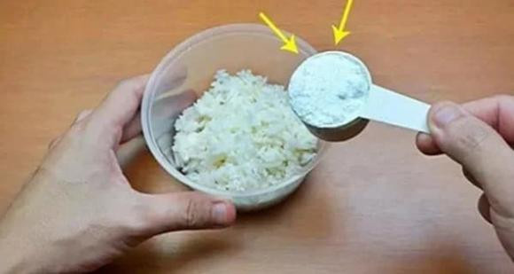 Cơm nguội đừng đổ đi, trộn với thứ này đuổi gián hiệu quả Com nguoi dung do di, tron voi thu nay duoi gian hieu qua