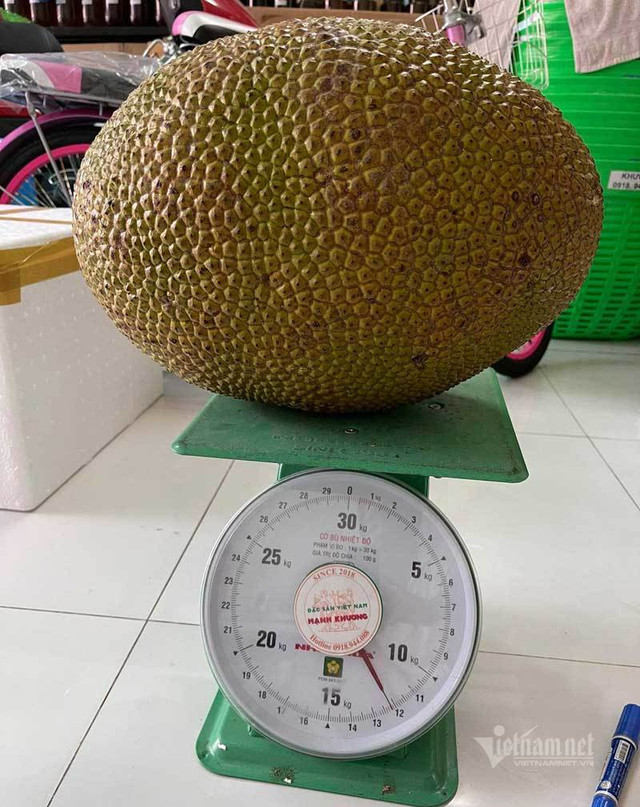 Mít lạ ở miền Tây, từ khách Nga cho tới Dubai đều tranh nhau mua - Hình 2 Mit la o mien Tay, tu khach Nga cho toi Dubai deu tranh nhau mua-Hinh-2