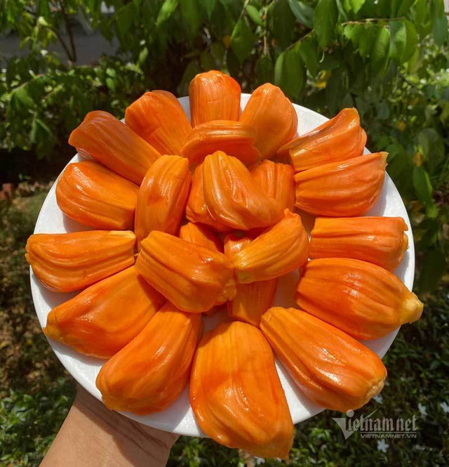 Mít lạ ở miền Tây, từ khách Nga cho tới Dubai đều tranh nhau mua - Hình 4 Mit la o mien Tay, tu khach Nga cho toi Dubai deu tranh nhau mua-Hinh-4