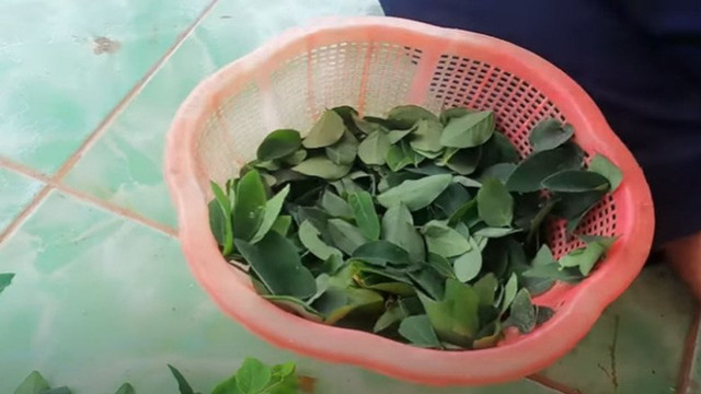 Rau ngót mua về làm kiểu này để từ 1-2 tuần vẫn tươi ngon - Hình 5 Rau ngot mua ve lam kieu nay de tu 1-2 tuan van tuoi ngon-Hinh-5