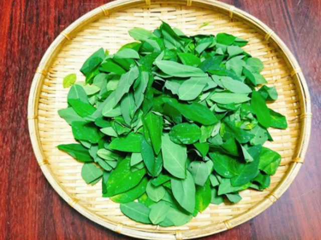 Rau ngót mua về làm kiểu này để từ 1-2 tuần vẫn tươi ngon - Hình 6 Rau ngot mua ve lam kieu nay de tu 1-2 tuan van tuoi ngon-Hinh-6