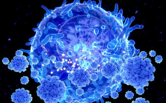 Lý do biến chủng Omicron đáng lo ngại Ly do bien chung Omicron dang lo ngai