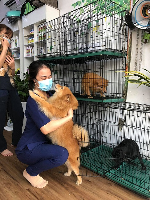 Nhà giàu chi tiền triệu thuê dịch vụ chăm chó mèo ngày Tết - Hình 5 Nha giau chi tien trieu thue dich vu cham cho meo ngay Tet-Hinh-5