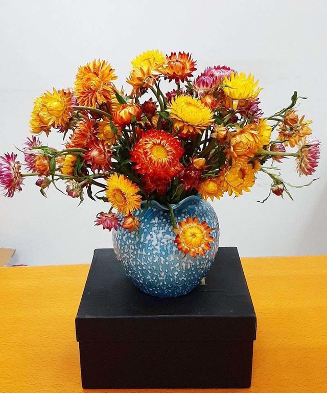 Hoa cúc lạ chết khô vẫn không tàn - Hình 2 Hoa cuc la chet kho van khong tan-Hinh-2