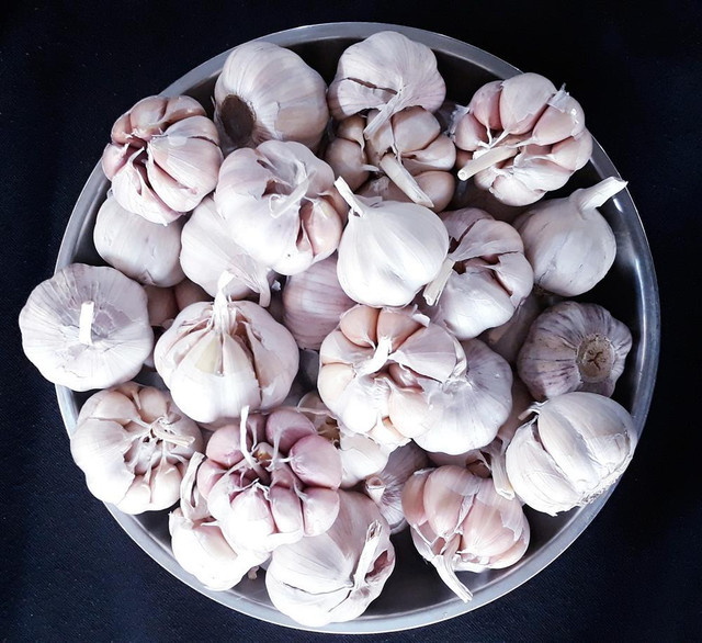 Tỏi ngâm giấm không bị xanh, không nổi váng chỉ với 3 bước đơn giản - Hình 3 Toi ngam giam khong bi xanh, khong noi vang chi voi 3 buoc don gian-Hinh-3