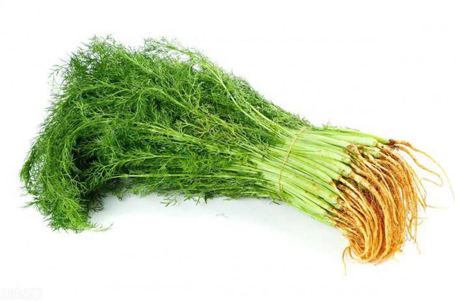 Ăn loại rau này thường xuyên có thể “hút sạch” chất độc trong phổi - Hình 3 An loai rau nay thuong xuyen co the “hut sach” chat doc trong phoi-Hinh-3