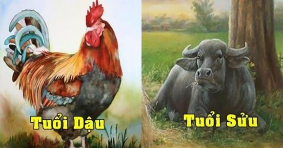 Vợ chồng thuộc 3 cặp con giáp này là định mệnh trời sinh, cực viên mãn - Hình 3 Vo chong thuoc 3 cap con giap nay la dinh menh troi sinh, cuc vien man-Hinh-3