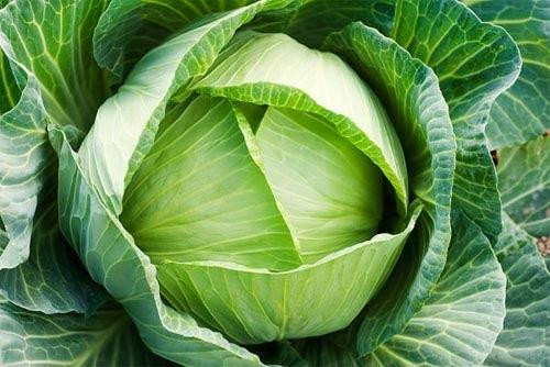 Thực phẩm vừa rẻ lại dễ mua, càng ăn nội tiết tố càng đẹp - Hình 5 Thuc pham vua re lai de mua, cang an noi tiet to cang dep-Hinh-5