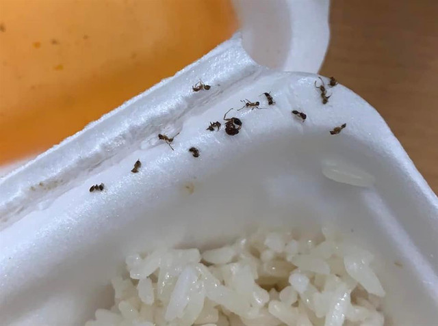 Gọi cơm rang dưa bò, cô nàng ngã ngửa "combo kinh dị" đi kèm Goi com rang dua bo, co nang nga ngua