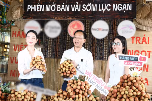 [VIDEO] Phó chủ tịch Bắc Ninh livestream bán hơn 31 tấn vải thiều thành công