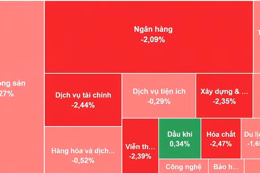 [VIDEO] VN-Index lao dốc gần 30 điểm, phiên giảm sâu nhất ba tháng