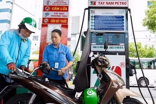 [VIDEO] Doanh nghiệp bán lẻ xăng dầu TP.HCM kêu cứu vì chiết khấu thấp kỷ lục
