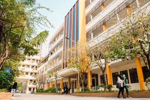 [VIDEO] Bộ Giáo dục đề xuất loại bỏ ngành học nếu 75% trường đồng ý