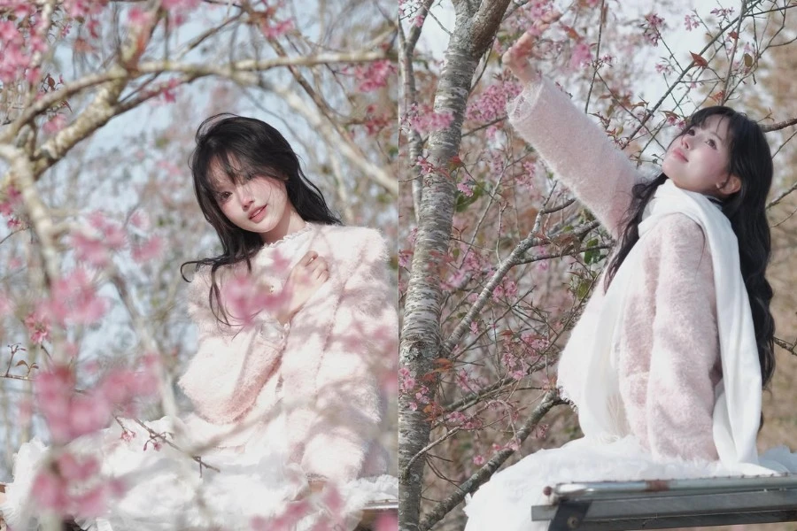 'Rich kid' Pun đốn tim với bộ ảnh check-in với hoa mai anh đào ngọt ngào