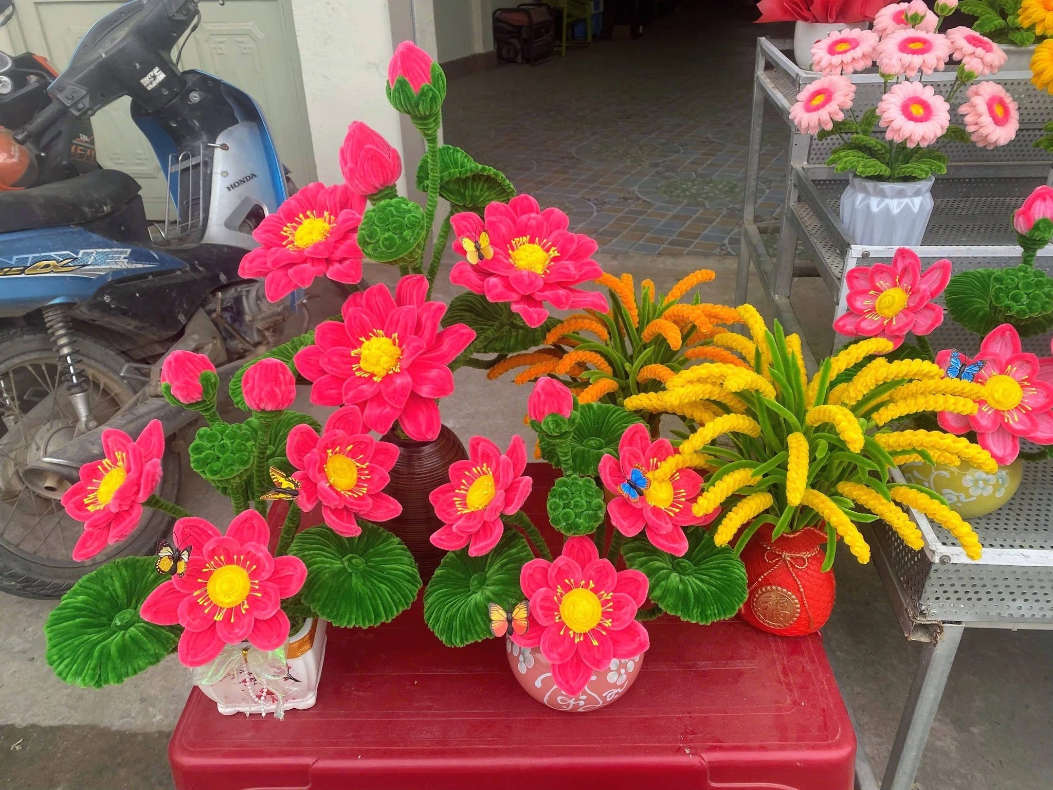 Giới trẻ rần rần 'bắt trend' hoa kẽm nhung chơi Tết vừa rẻ vừa sang